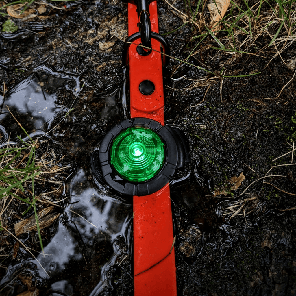 Waterproof Gear - Bear & Me Outdoors