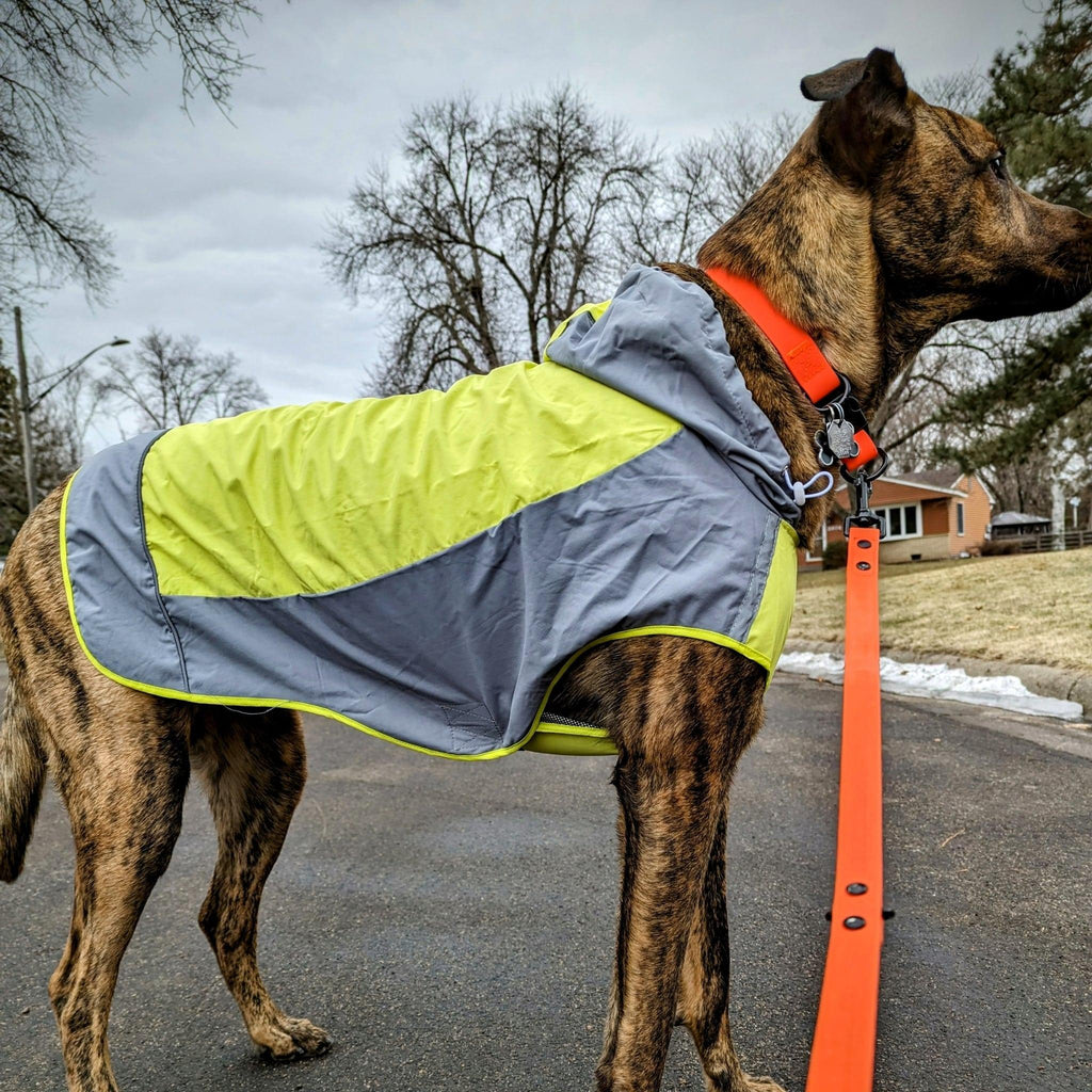 AdventureTail Dog Rainshell - Bear & Me Outdoors