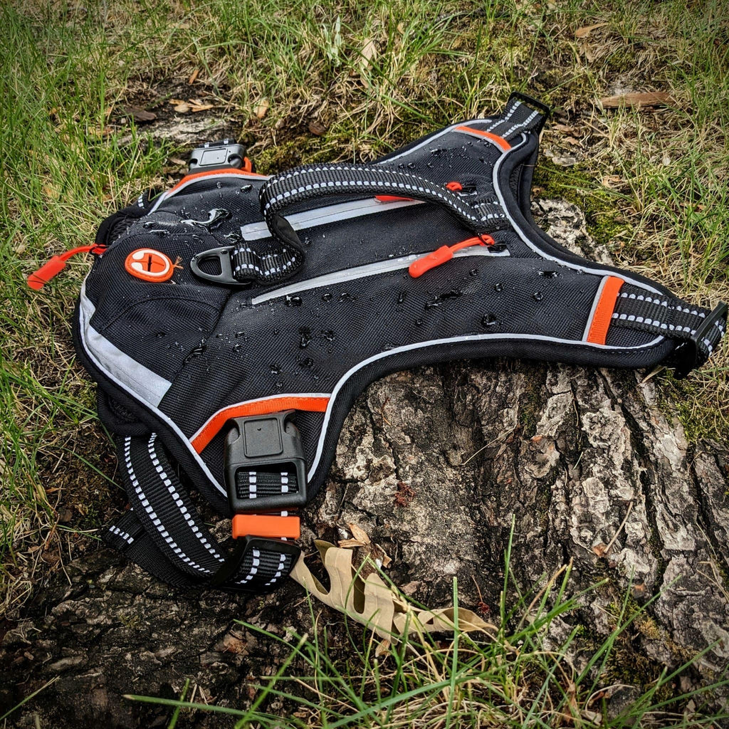 All-In-One Trail Harness - Bear & Me Outdoors