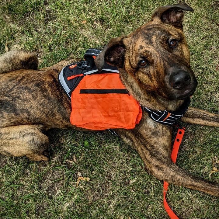 All-In-One Trail Harness - Bear & Me Outdoors