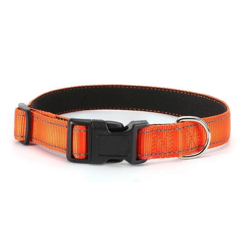 Comfort Trail Reflective Collar - Bear & Me Outdoors