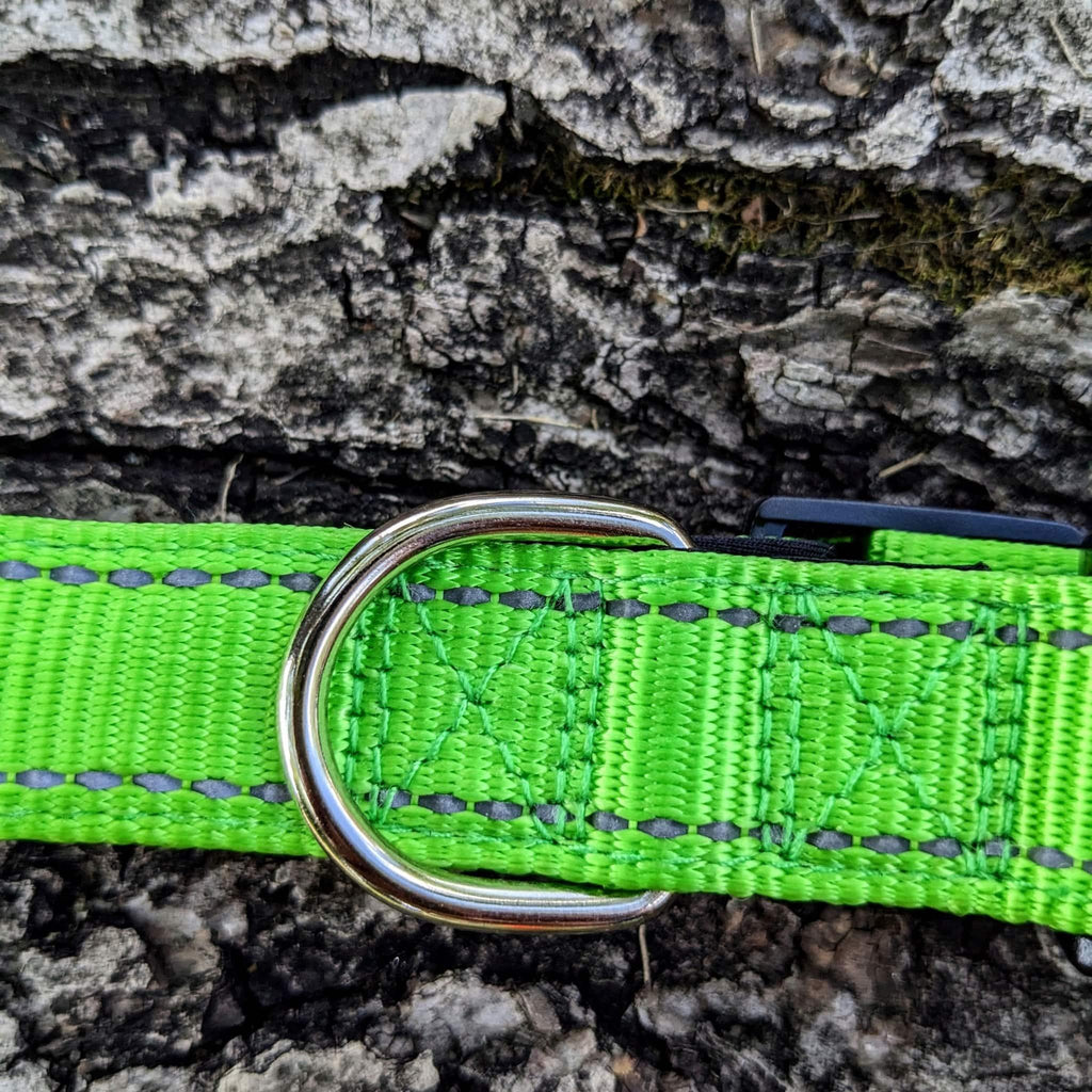 Comfort Trail Reflective Collar - Bear & Me Outdoors