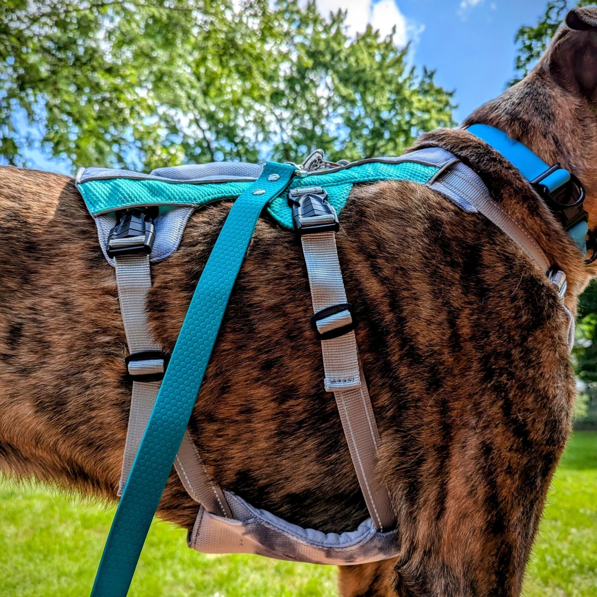 Cooling harness for dogs clearance