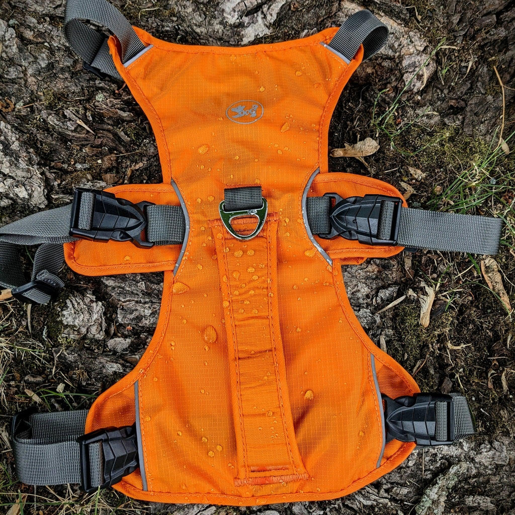 Explorer Escape Proof Harness - Bear & Me Outdoors