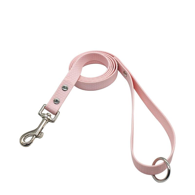Explorer Waterproof Leash - Bear & Me Outdoors