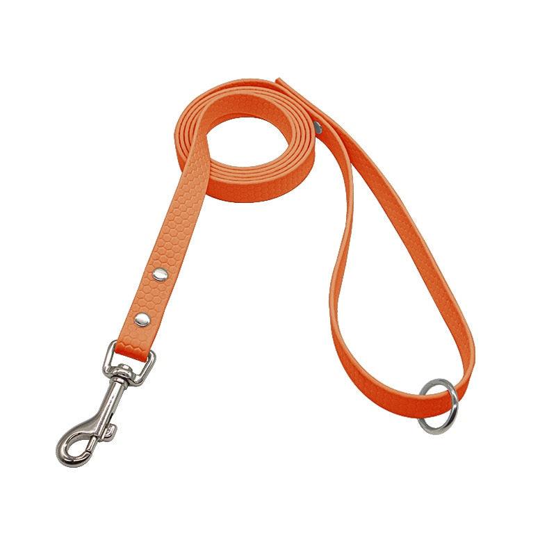 Explorer Waterproof Leash - Bear & Me Outdoors
