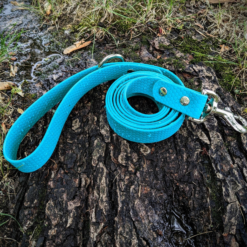 Explorer Waterproof Leash - Bear & Me Outdoors