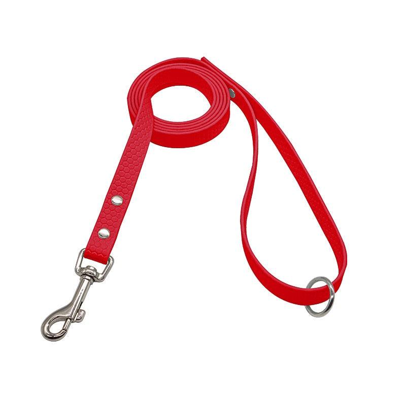 Explorer Waterproof Leash - Bear & Me Outdoors