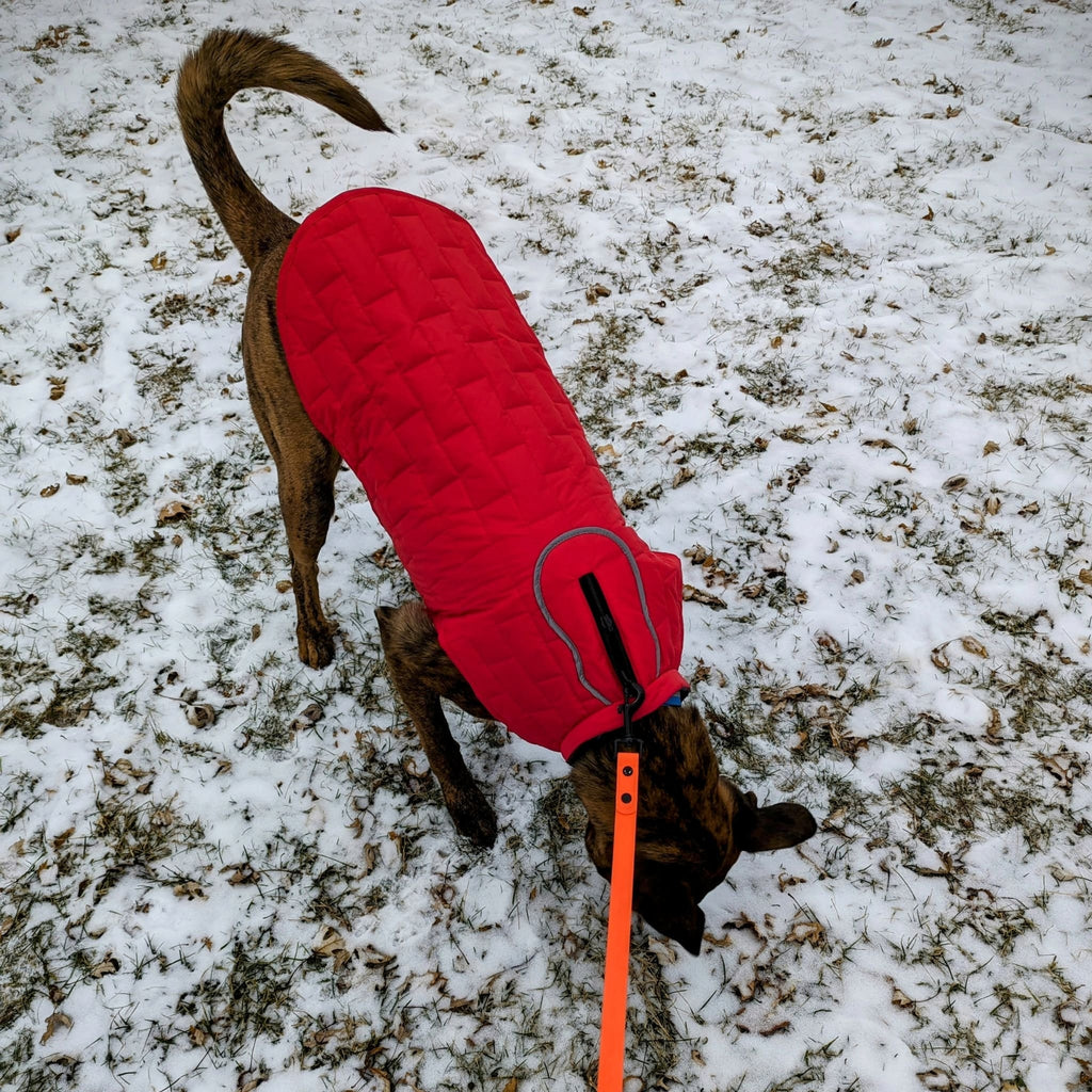 Pathfinder Reversible Dog Shacket - Bear & Me Outdoors