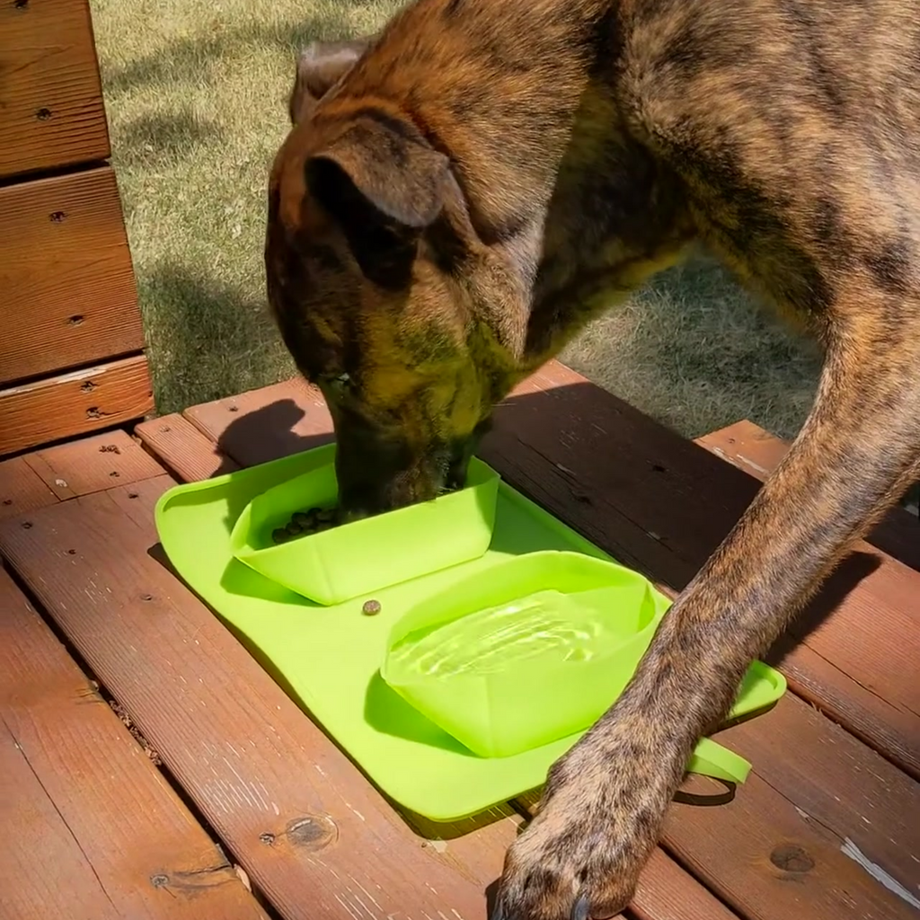 Collapsible Feeding Bowls & Mat - Bear & Me Outdoors