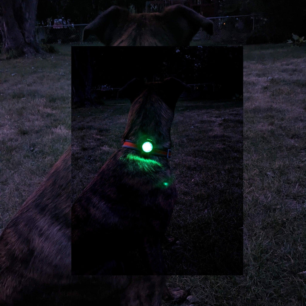 Ultra LED Safety Light - Bear & Me Outdoors