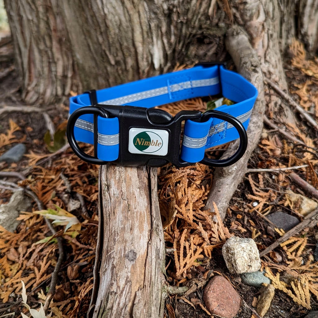 Waterproof Reflective 3-in-1 Collar - Bear & Me Outdoors